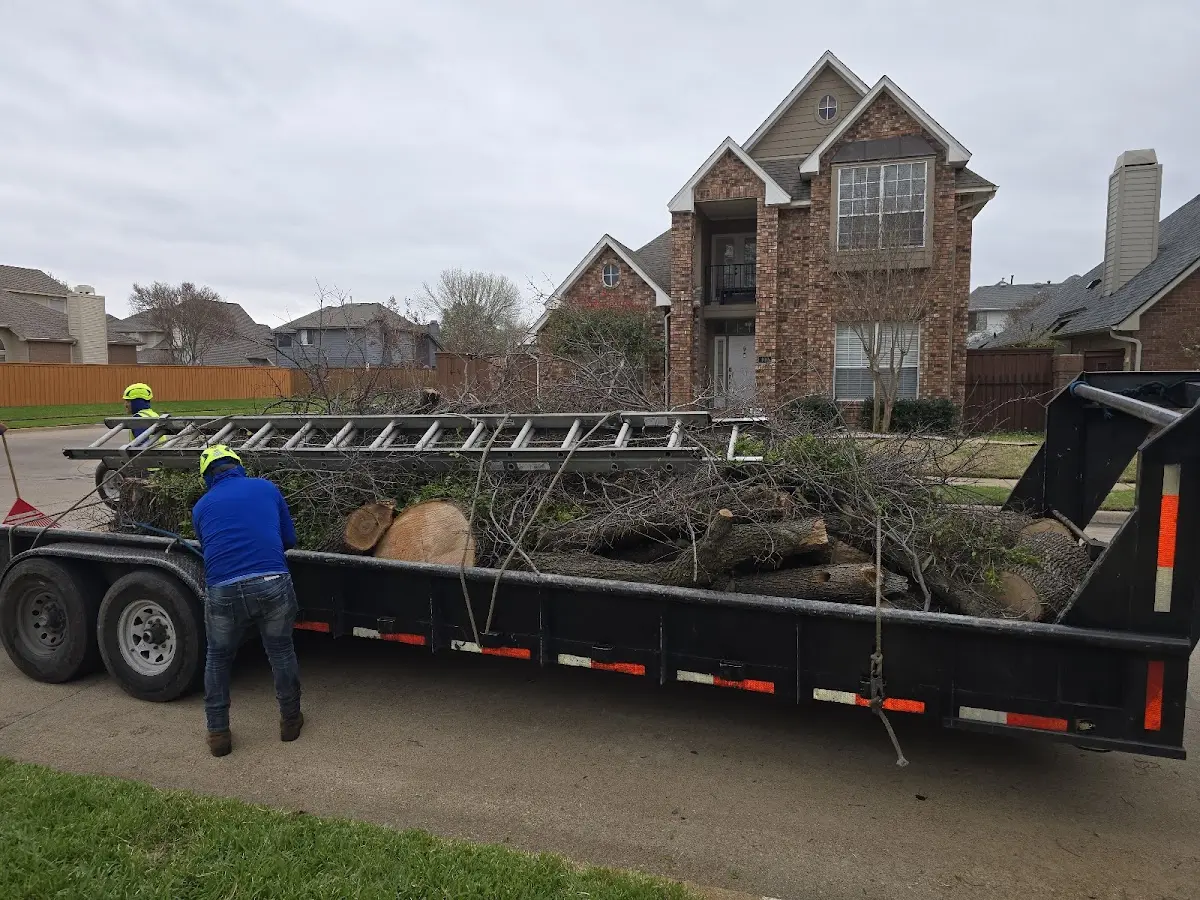 Expert Tree Pest Control with proper safety equipment in Thatcher